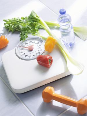 ガチャガチャの森：多彩なコレクションと高品質な商品提供の魅力